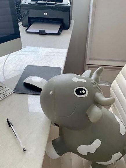 KIDZZFARM Φουσκωτή Γκρί Αγελάδα Bella the Cow Junior