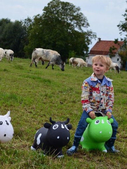 KIDZZFARM Φουσκωτή Γκρί Αγελάδα Bella the Cow Junior