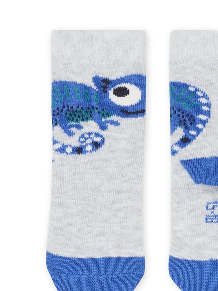 Βρεφικές Κάλτσες για Αγόρια Gray Chameleon - ΠΟΛΥΧΡΩΜΟ φωτογραφία