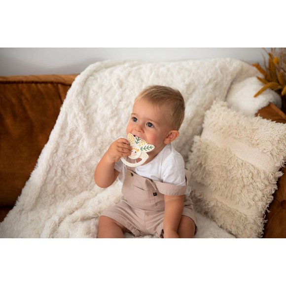 ΔΑΚΤΥΛΙΟΣ ΟΔΟΝΤΟΦΥΙΑΣ Mille Feville SOPHIE Η ΚΑΜΗΛΟΠΑΡΔΑΛΗ