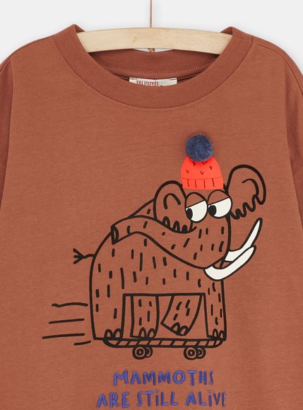 Παιδική Μακρυμάνικη Μπλούζα για Αγόρια Brown Mammoths
