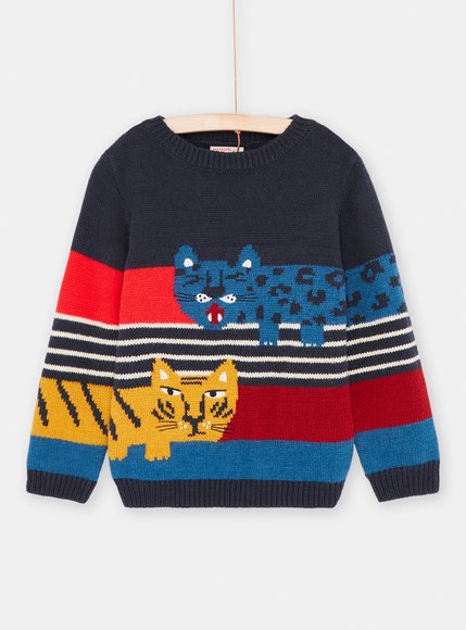 Παιδικό Πουλόβερ γιια Αγόρια Multicolour Tigers