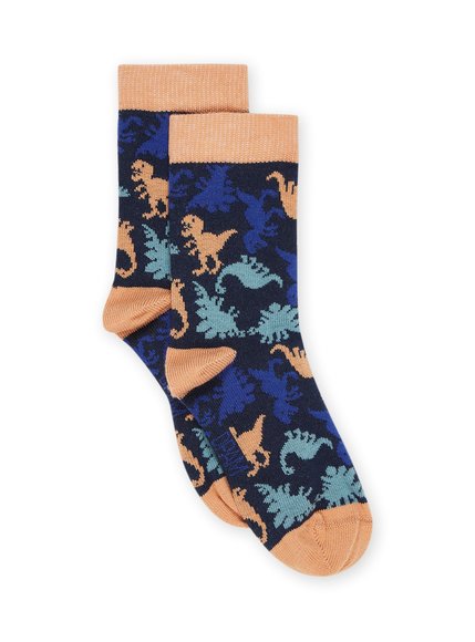 Παιδικές Κάλτσες για Αγόρια Blue DInosaurs