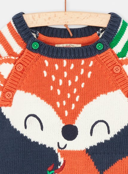 Βρεφικό Μακρυμάνικο Πουλόβερ για Αγόρια Multicolour Foxy