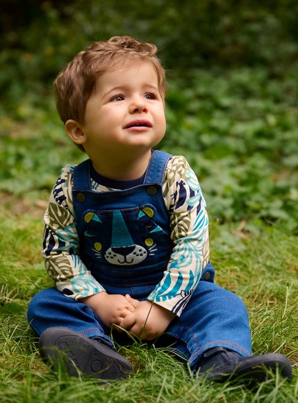 Βρεφική Μακρυμάνικη Μπλούζα για Αγόρια Διπλής Όψης Μπλε Ζέβρα