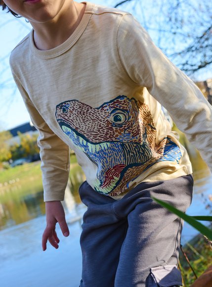 Παιδική Μακρυμάνικη Μπλούζα για Αγόρια Beige Neon Dino