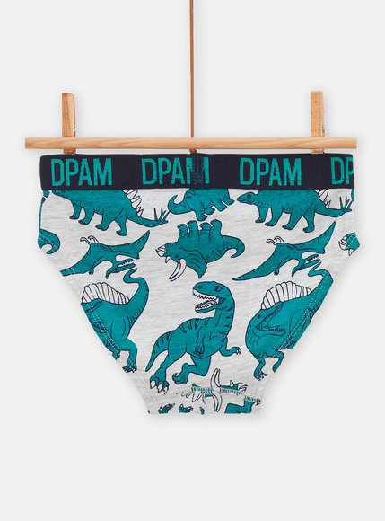 Σετ Παιδικά Εσώρουχα για Αγόρια Dinosaurs 5 τμχ