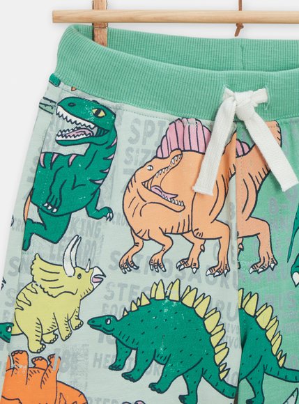 Παιδικό Σορτς για Αγόρια Dino Lover