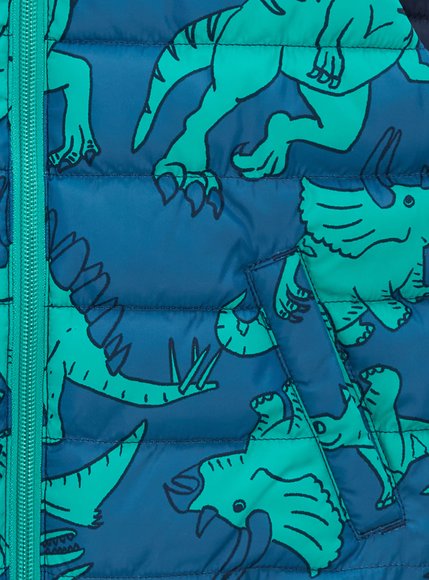 Παιδικό Αμάνικο Μπουφάν για Αγόρια Blue Green Dino