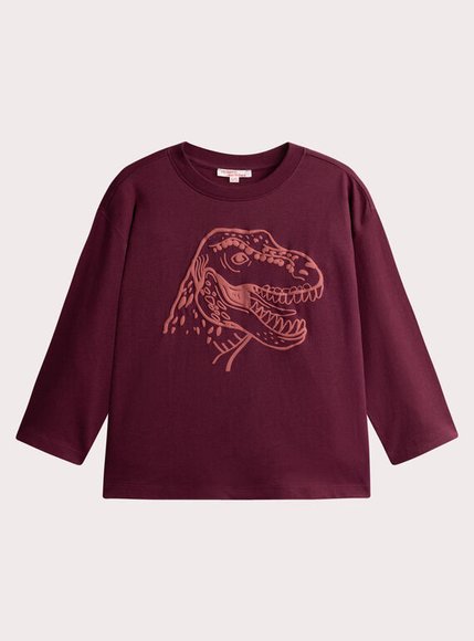 Παιδική Μπλούζα για Αγόρια Burgundy Dino