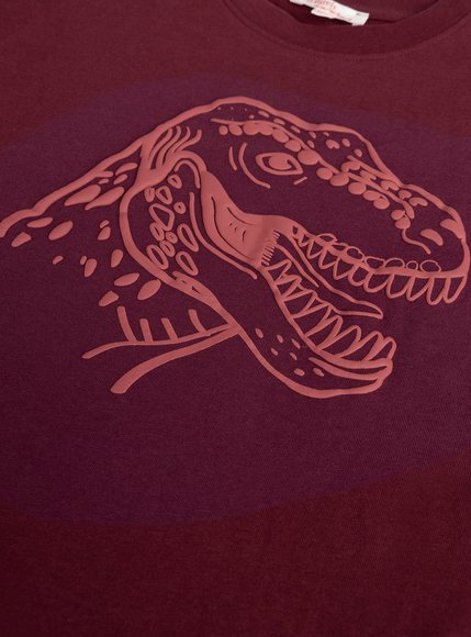 Παιδική Μπλούζα για Αγόρια Burgundy Dino