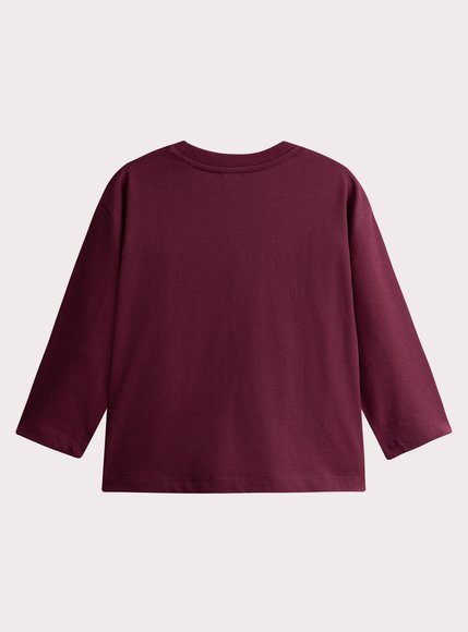 Παιδική Μπλούζα για Αγόρια Burgundy Dino