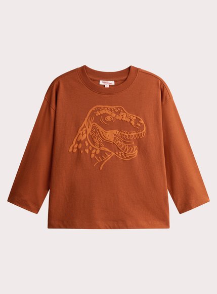 Παιδική Μπλούζα για Αγόρια Orange Dino