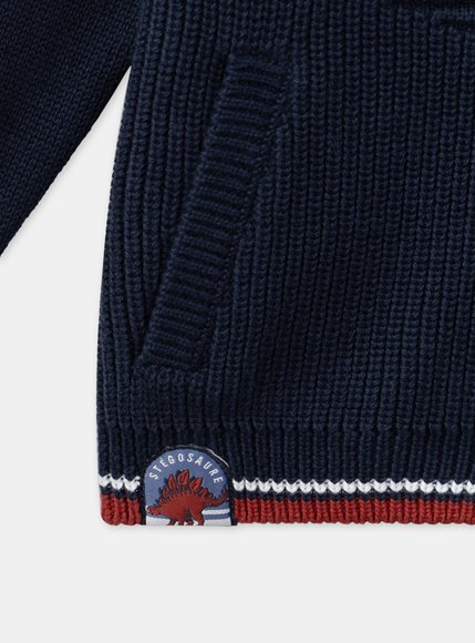 Παιδική Ζακέτα για Αγόρια Navy Stripe