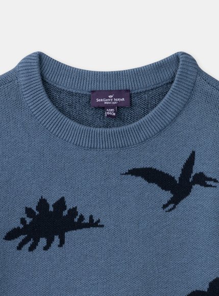 Παιδικό Πουλόβερ για Αγόρια Blue Dinos