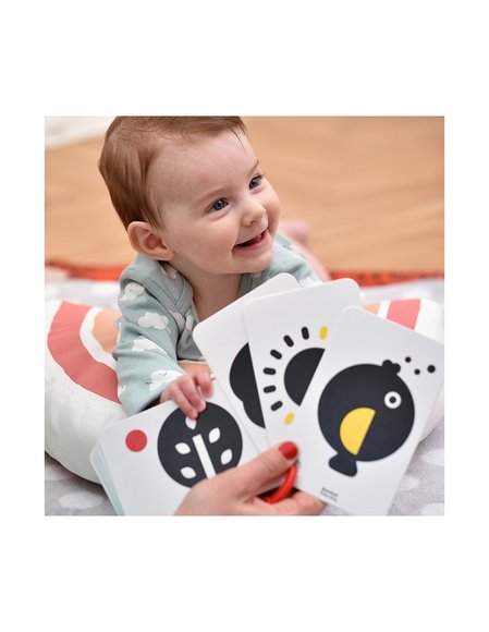 Βρεφικό Παιχνίδι Banana Panda Κάρτες Υψηλής Αντίθεσης Διπλής Όψης 0Μ+ - ΠΟΛΥΧΡΩΜΟ φωτογραφία