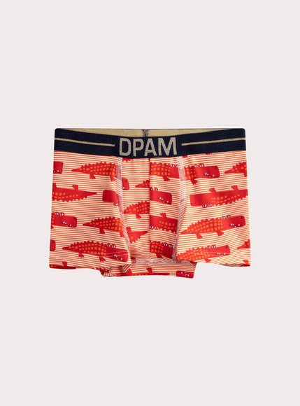 Σετ Παιδικά Εσώρουχα για Αγόρια Multi Alligators 5 τμχ