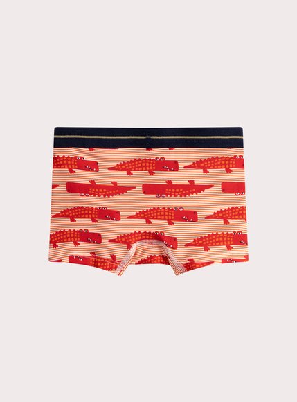 Σετ Παιδικά Εσώρουχα για Αγόρια Multi Alligators 5 τμχ