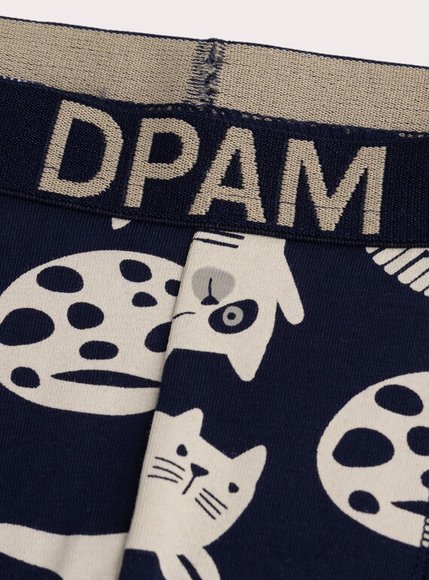 Σετ Παιδικά Εσώρουχα για Αγόρια Multi Cats 5 τμχ