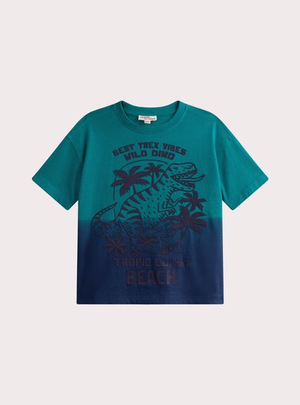 Παιδική Μπλούζα για Αγόρια Ombre T-Rex