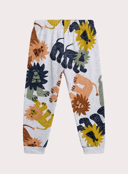 Σετ Παιδικές Πιτζάμες για Αγόρια Grey Zoo