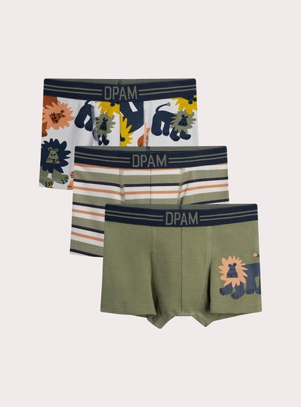 DPAM Σετ Παιδικά Εσώρουχα για Αγόρια Lion Print 3 τμχ - ΠΡΑΣΙΝΟ
