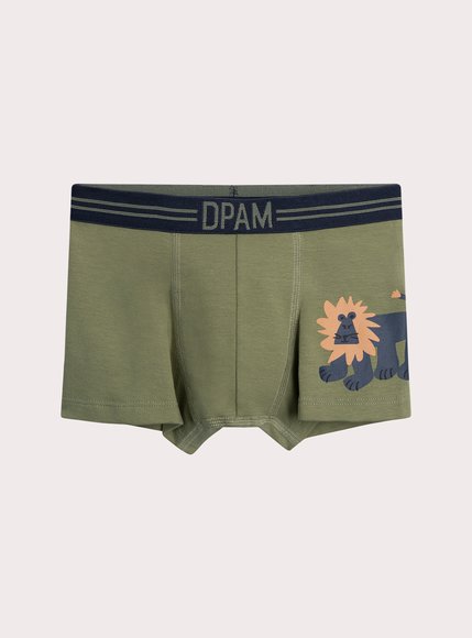 Σετ Παιδικά Εσώρουχα για Αγόρια Lion Print 3 τμχ - ΠΡΑΣΙΝΟ φωτογραφία