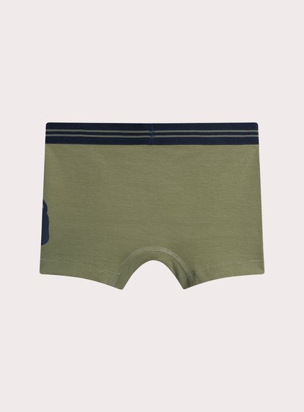 Σετ Παιδικά Εσώρουχα για Αγόρια Lion Print 3 τμχ