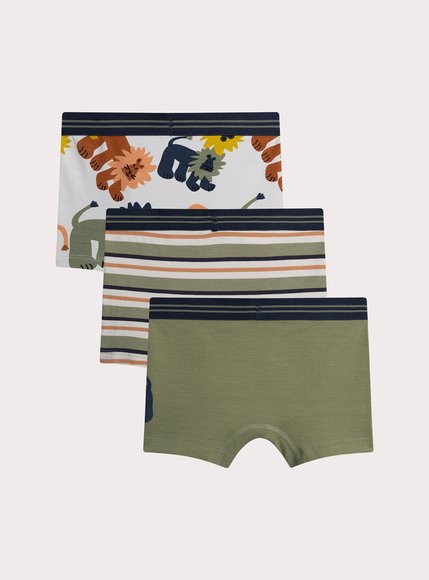 Σετ Παιδικά Εσώρουχα για Αγόρια Lion Print 3 τμχ