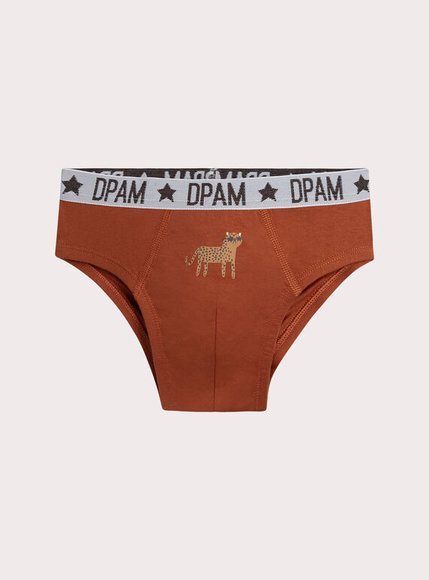 Σετ Παιδικά Εσώρουχα για Αγόρια Cool Leopards 3 τμχ - ΛΕΥΚΟ φωτογραφία