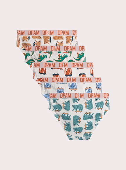 Σετ Παιδικά Εσώρουχα για Αγόρια White Skaters 5 τμχ