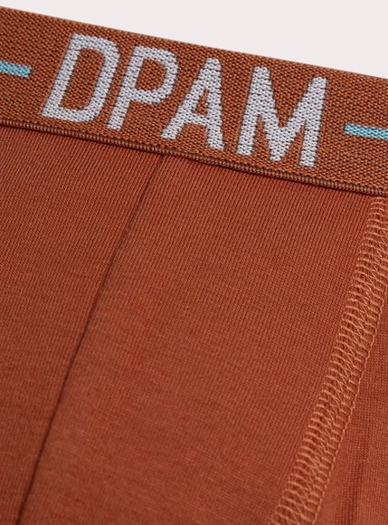 Σετ Παιδικά Εσώρουχα για Αγόρια Fun Prints 3 τμχ