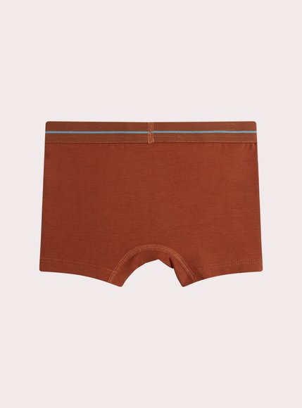 Σετ Παιδικά Εσώρουχα για Αγόρια Fun Prints 3 τμχ