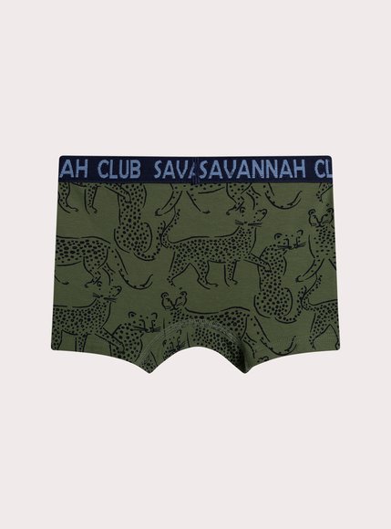 Σετ Παιδικά Εσώρουχα για Αγόρια Leopards Print 5 τμχ