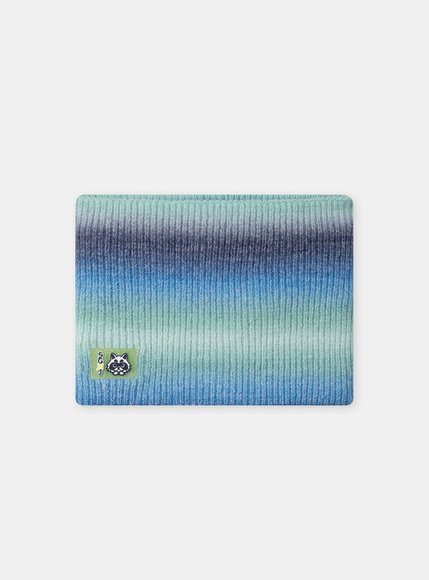 Παιδικός Λαιμός για Αγόρια Degrade Racoon