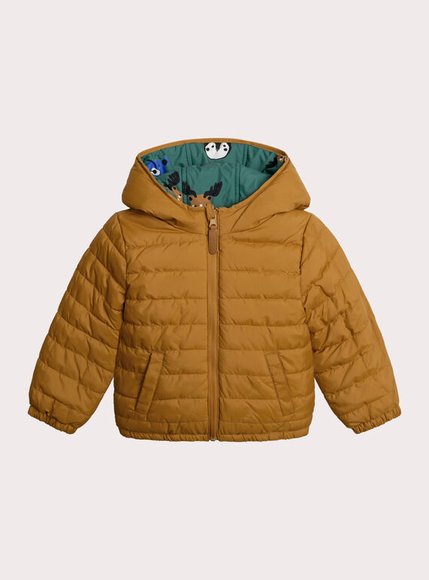 Παιδικό Μπουφάν για Αγόρια Green/Brown Friends - 2 σε 1 - ΠΡΑΣΙΝΟ φωτογραφία