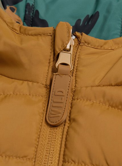 Παιδικό Μπουφάν για Αγόρια Green/Brown Friends - 2 σε 1 - ΠΡΑΣΙΝΟ φωτογραφία