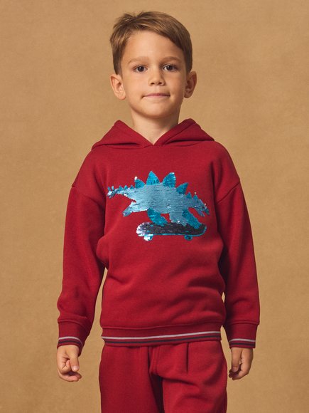 Παιδικό Φούτερ για Αγόρια Red Skater