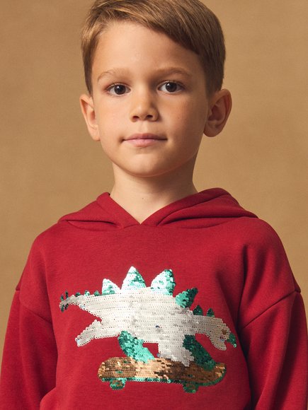 Παιδικό Φούτερ για Αγόρια Red Skater