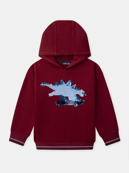 Παιδικό Φούτερ για Αγόρια Red Skater