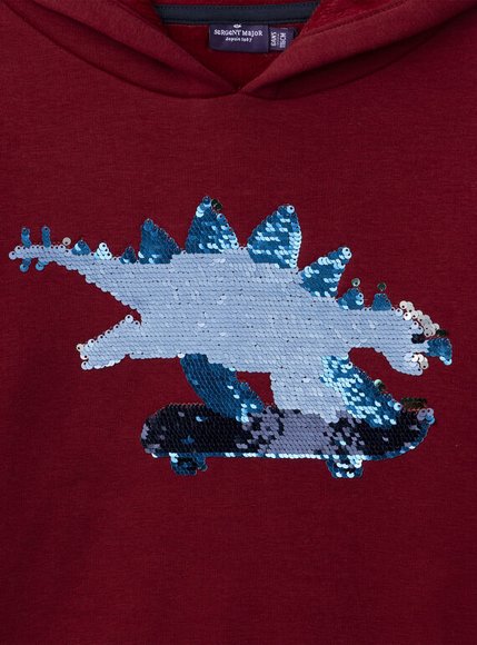 Παιδικό Φούτερ για Αγόρια Red Skater