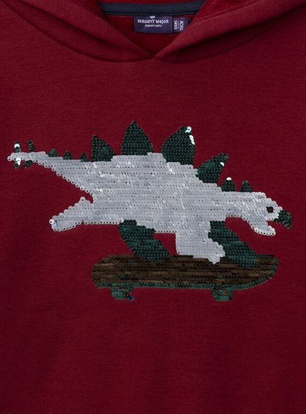 Παιδικό Φούτερ για Αγόρια Red Skater