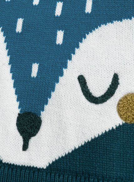 Βρεφικό Πουλόβερ για Αγόρια Cute Fox