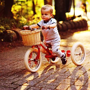 TRIBYKE ΠΟΔΗΛΑΤΟ ΙΣΣΟΡΟΠΙΑΣ VINTAGE RED