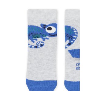 Βρεφικές Κάλτσες για Αγόρια Gray Chameleon