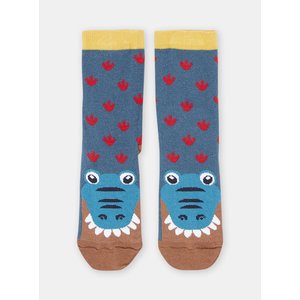 Σετ Παιδικές Κάλτσες για Αγόρια Μπλε Dinosaur