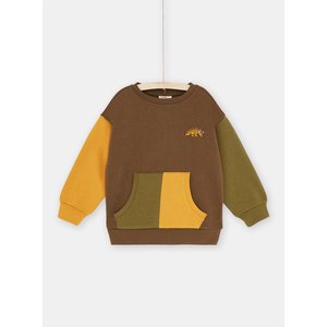 Παιδικό Μακρυμάνικο Φούτερ για Αγόρια Multicolour Tiger
