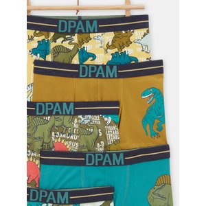 Παιδικά Εσώρουχα για Αγόρια Multicolor Dinosaurs 5 τμχ