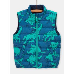 Παιδικό Αμάνικο Μπουφάν για Αγόρια Blue Green Dino