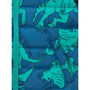 Παιδικό Αμάνικο Μπουφάν για Αγόρια Blue Green Dino